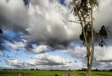 多多28：[NBA]洛杉矶山火导致NBA比赛延期.