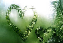 澳网首日赛果：郑钦文晋级 布云朝克特王欣瑜出局.