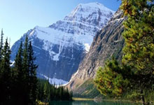 多多28：2-1！德丙鱼腩队创奇迹：逆转德甲冠军首进决赛 球迷冲入球场庆祝.