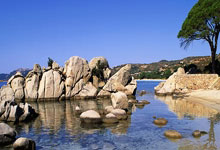 多多28：[NBA]洛杉矶山火导致NBA比赛延期.